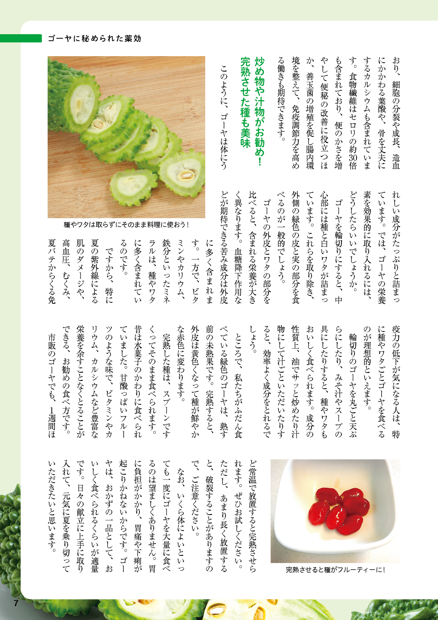 【書籍】ゴーヤでやせる!血糖値、血圧が下がる最強レシピ(M1764)