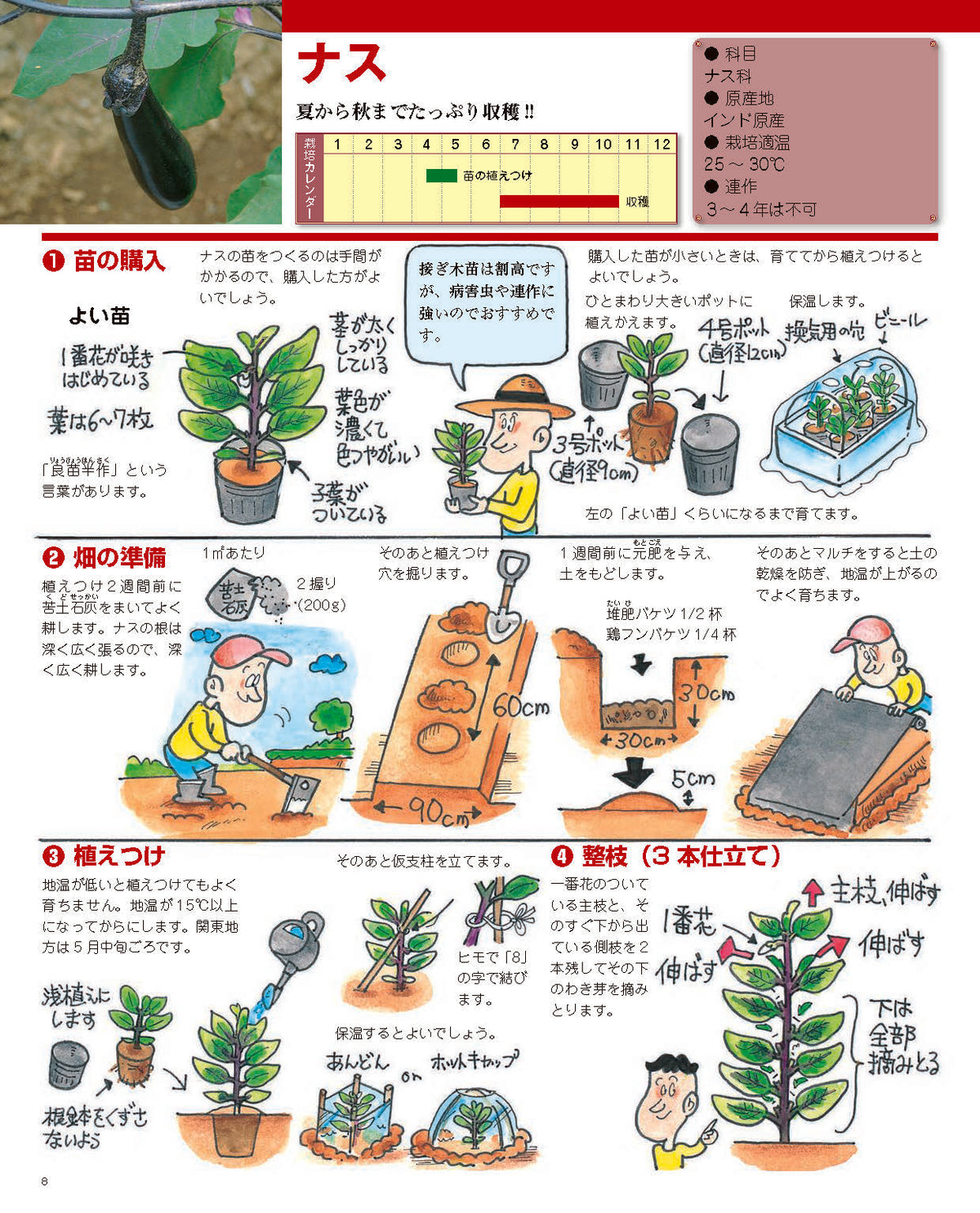 【書籍】増補改訂版 まんがと写真でよくわかる 野菜をつくろう!(M1839)