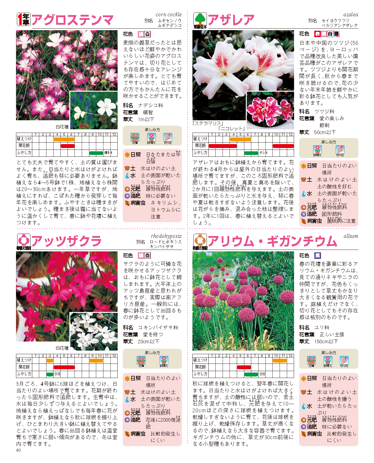 【書籍】園芸大百科 新装丁版(M1944)