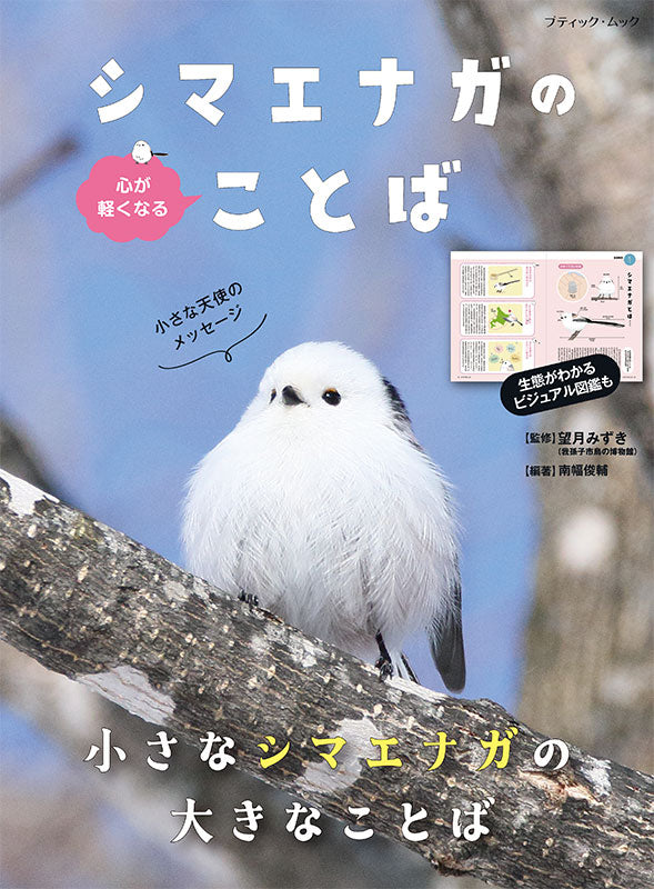【書籍】心が軽くなる シマエナガのことば(M1913)