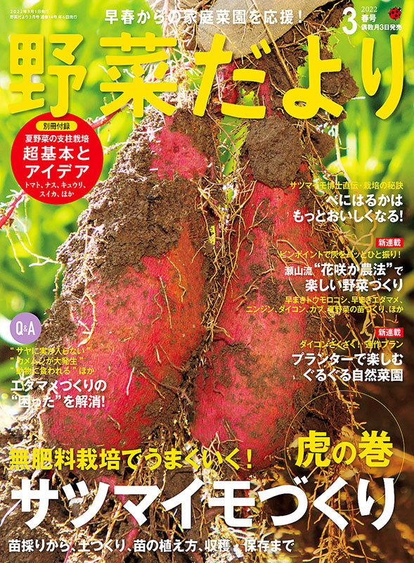 【電子版】野菜だより2022年3月号(112203)