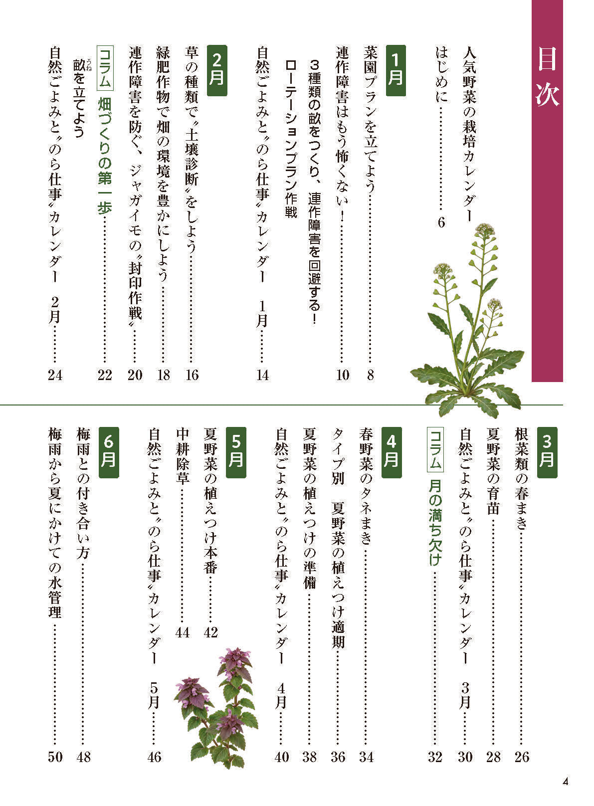 【書籍】異常気象に負けない12か月の野菜づくり(M2018)