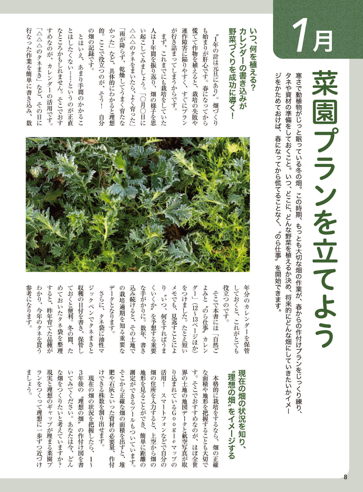 【書籍】異常気象に負けない12か月の野菜づくり(M2018)
