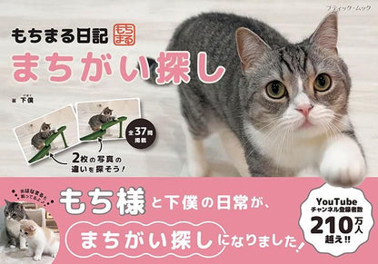 【書籍】もちまる日記 まちがい探し(M1681)