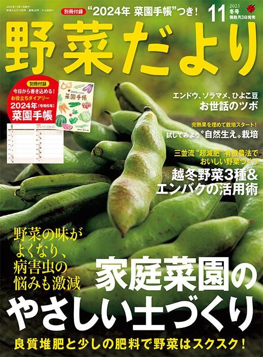 【電子版】野菜だより2023年11月冬号(112311)