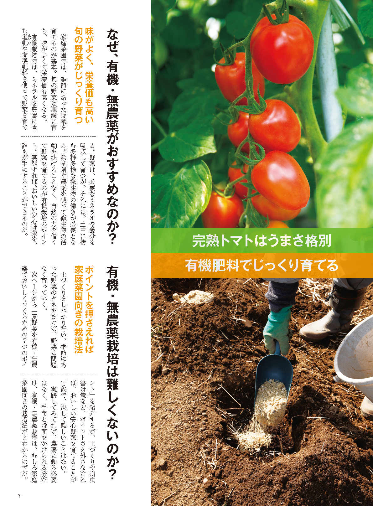 【電子版】夏野菜づくり 超基本とコツのコツ 2021年版 (野菜だより2021年5月号増刊)