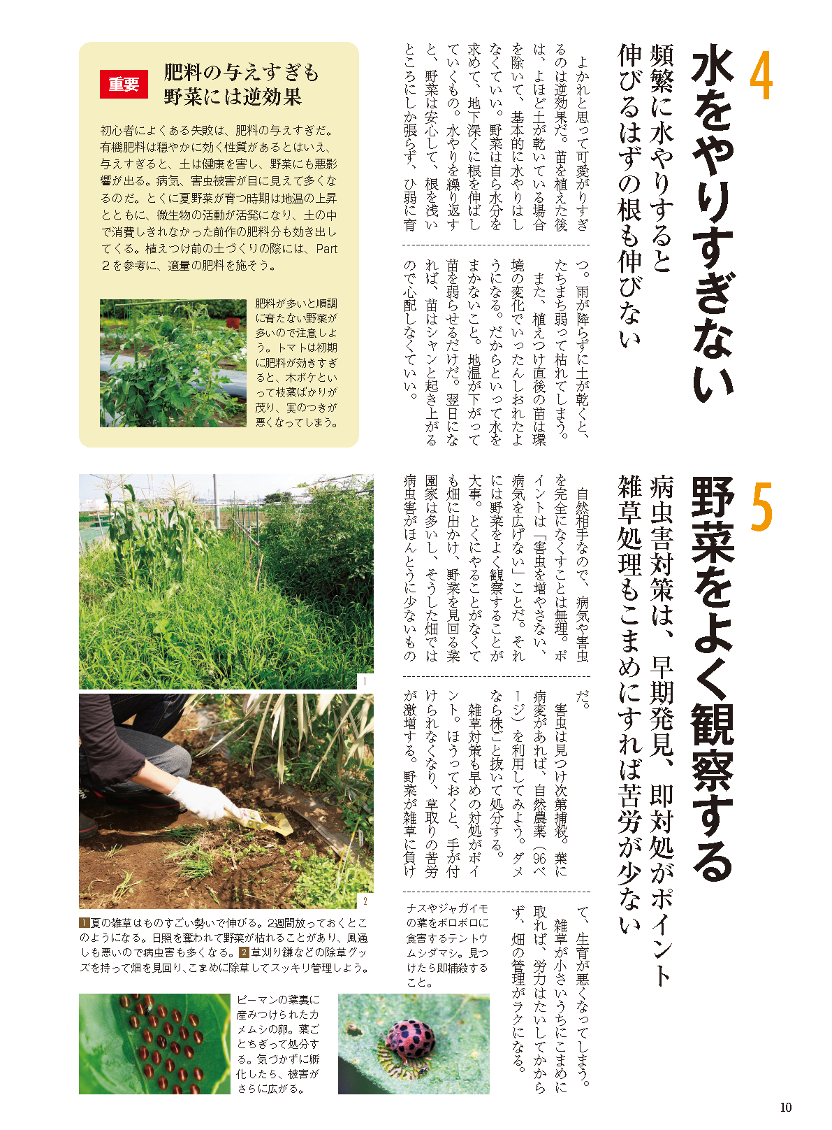【電子版】夏野菜づくり 超基本とコツのコツ 2021年版 (野菜だより2021年5月号増刊)