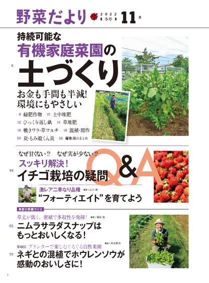 【書籍】野菜だより2022年11月冬号(112211)