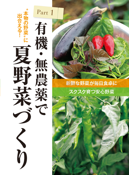 【電子版】夏野菜づくり 超基本とコツのコツ 2022年版（野菜だより2022年4月号増刊）