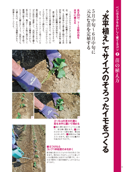 【電子版】野菜だより2022年3月号(112203)