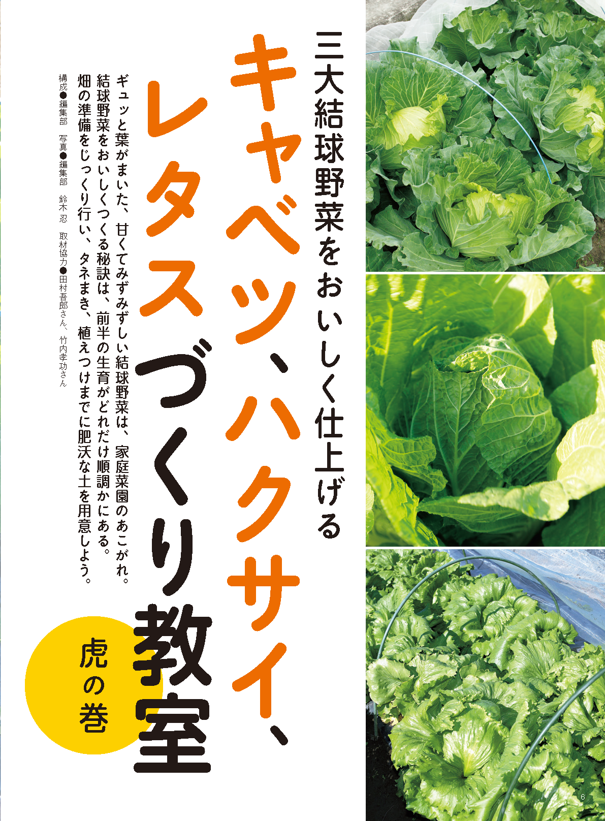 【電子版】野菜だより2022年7月夏号(112207)