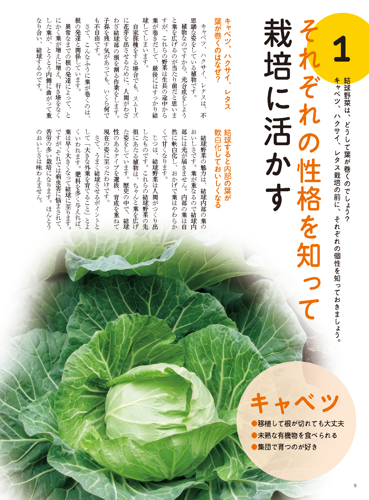 【電子版】野菜だより2022年7月夏号(112207)