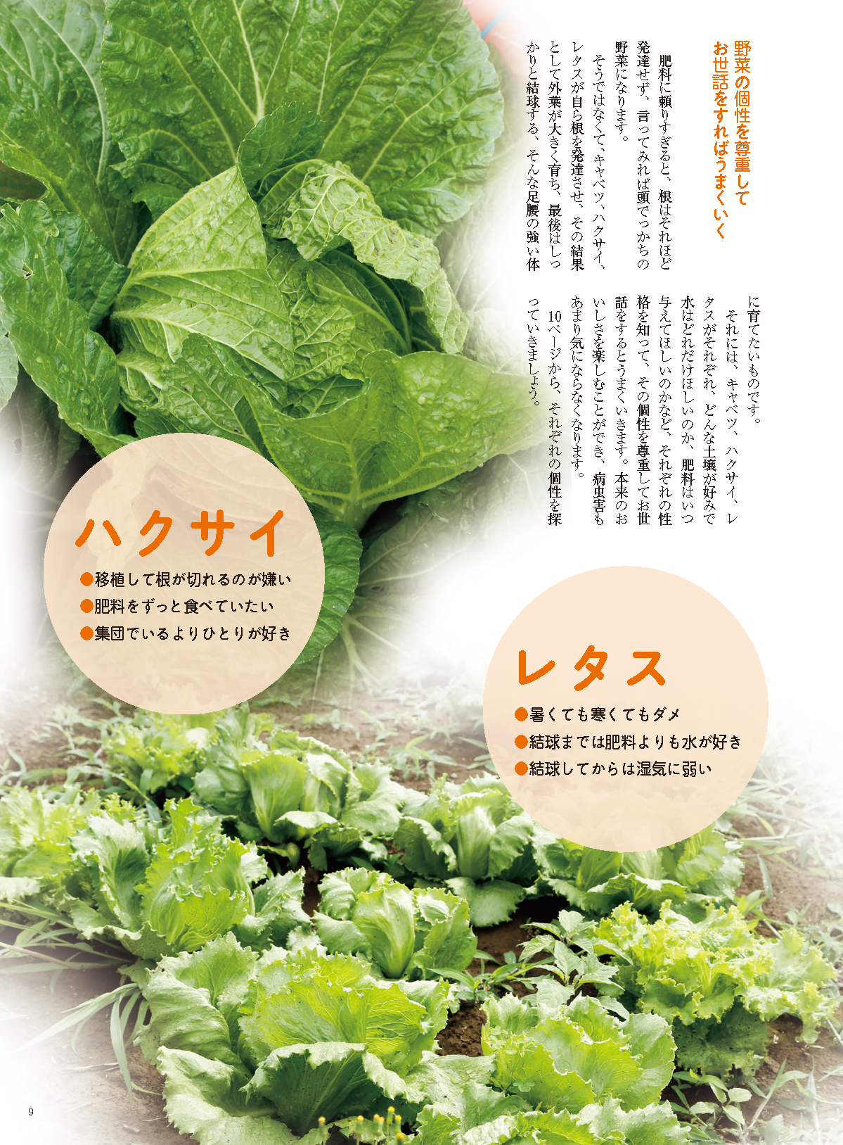 【電子版】野菜だより2022年7月夏号(112207)