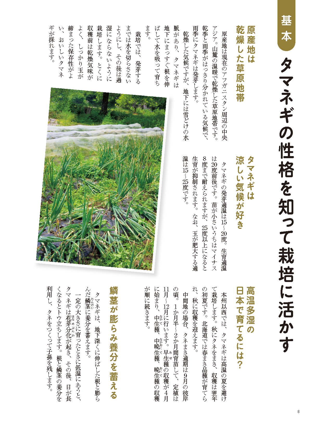 【書籍】野菜だより2022年9月秋号(112209)