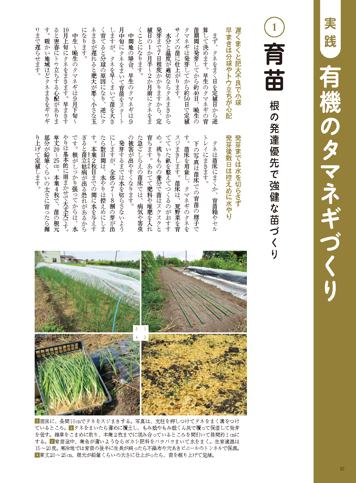 【書籍】野菜だより2022年9月秋号(112209)