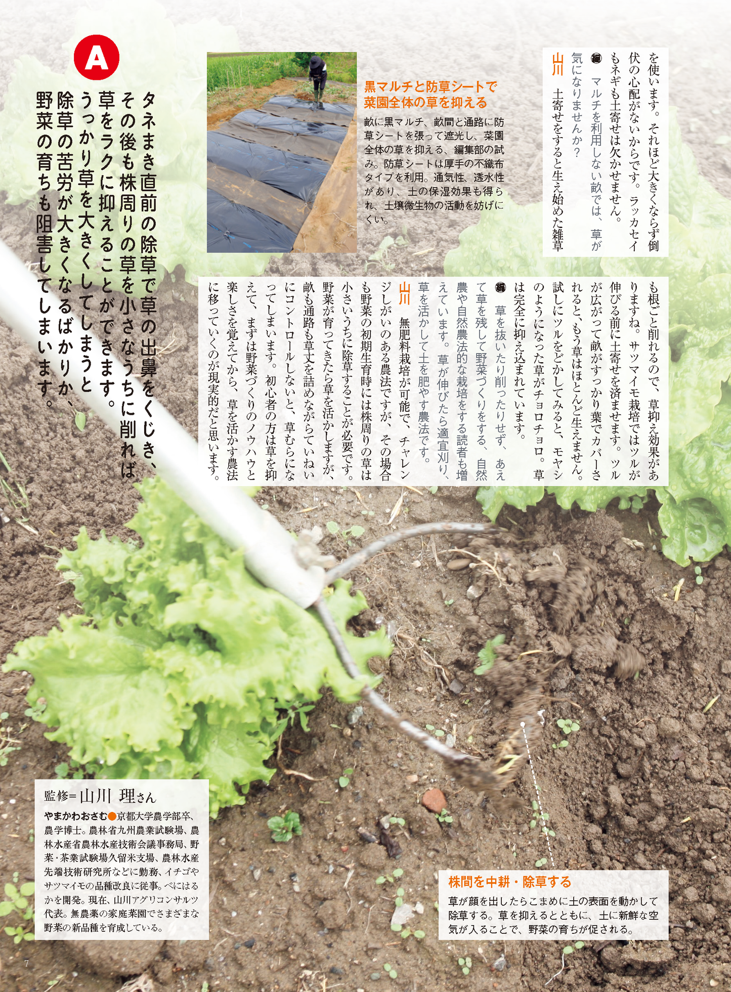 【電子版】野菜だより2023年11月冬号(112311)