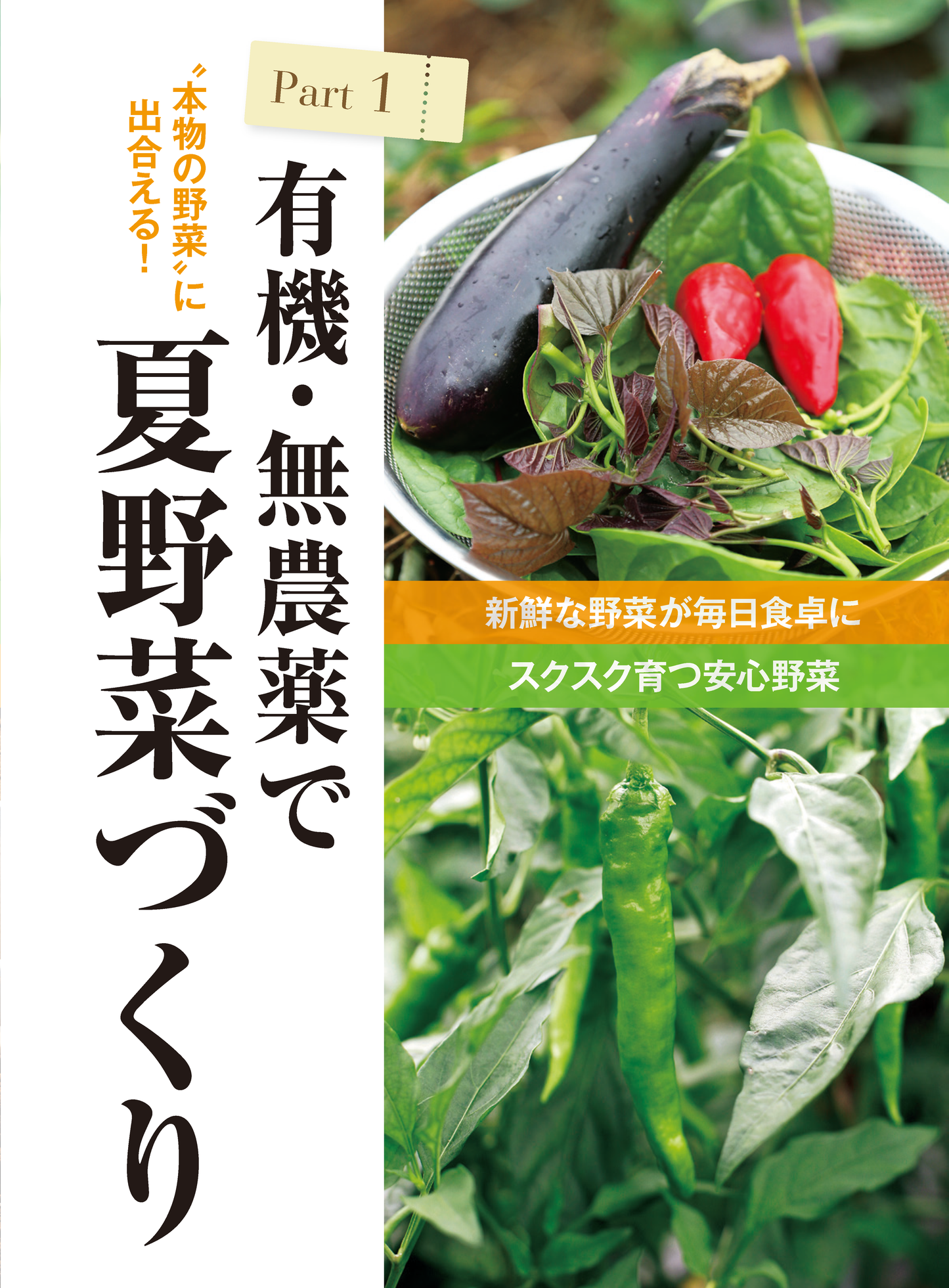 【電子版】夏野菜づくり 超基本とコツのコツ 2023年版(122304)