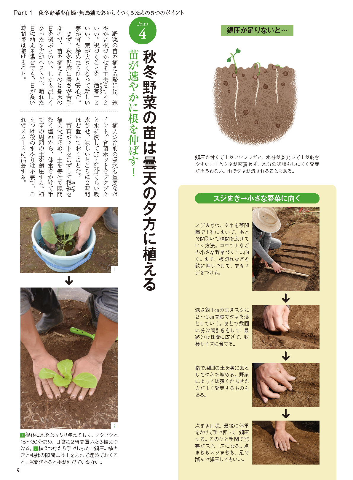 【電子版】秋冬野菜づくり 超基本とコツのコツ 2023年版(122308)