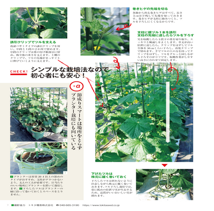 【書籍】野菜だより2023年3月春号(112303)