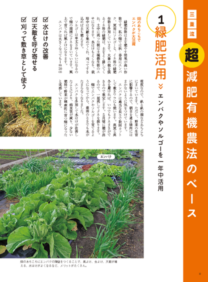 【書籍】野菜だより2023年3月春号(112303)
