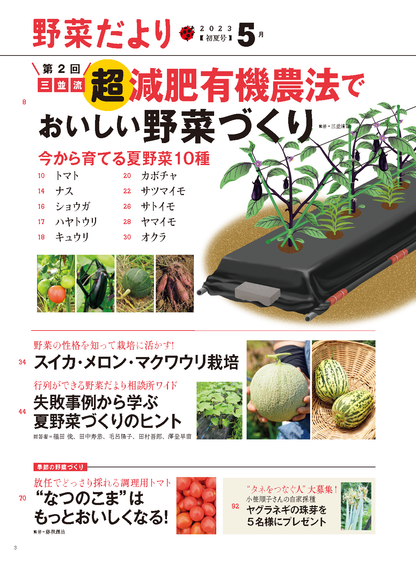【電子版】野菜だより2023年5月初夏号(112305)