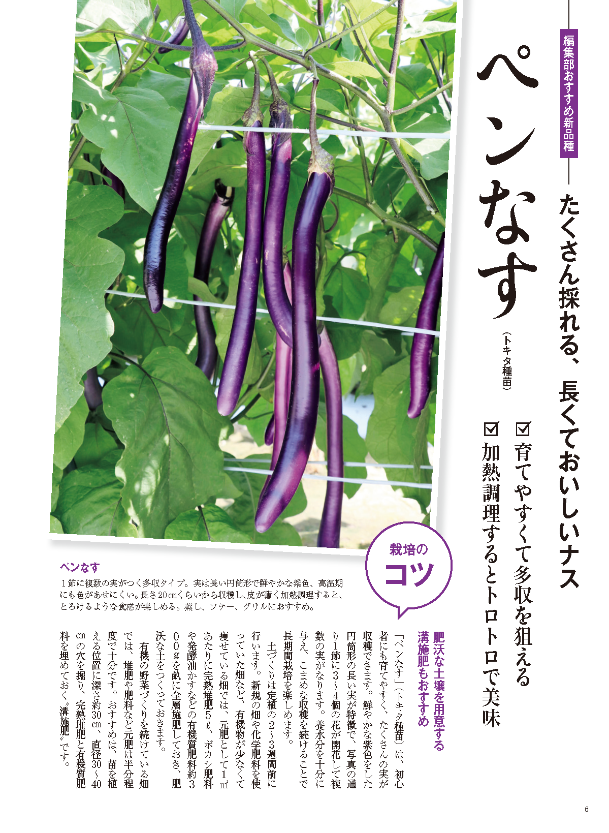 【電子版】野菜だより2023年5月初夏号(112305)