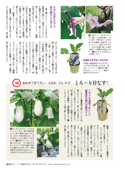 【電子版】野菜だより2023年5月初夏号(112305)
