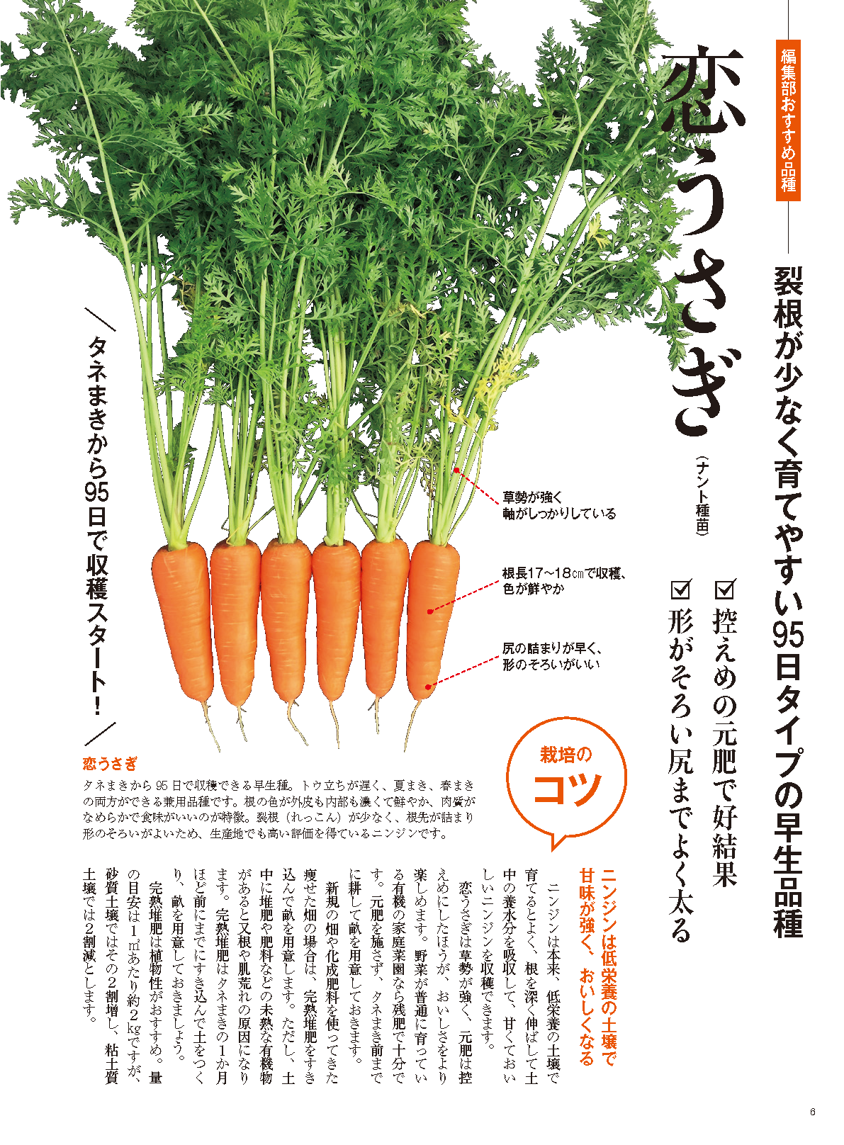 【電子版】野菜だより2023年7月夏号(112307)