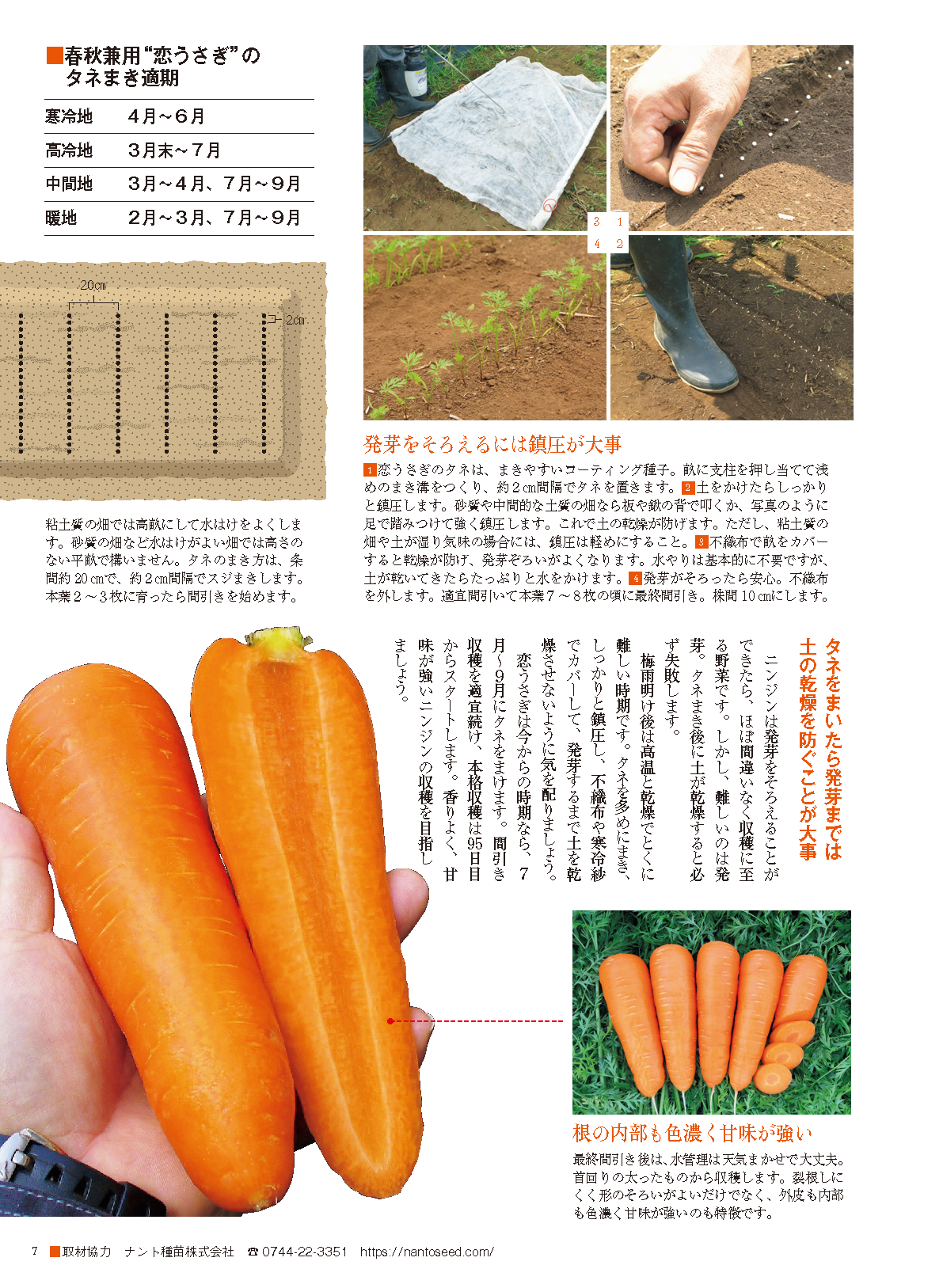 【電子版】野菜だより2023年7月夏号(112307)