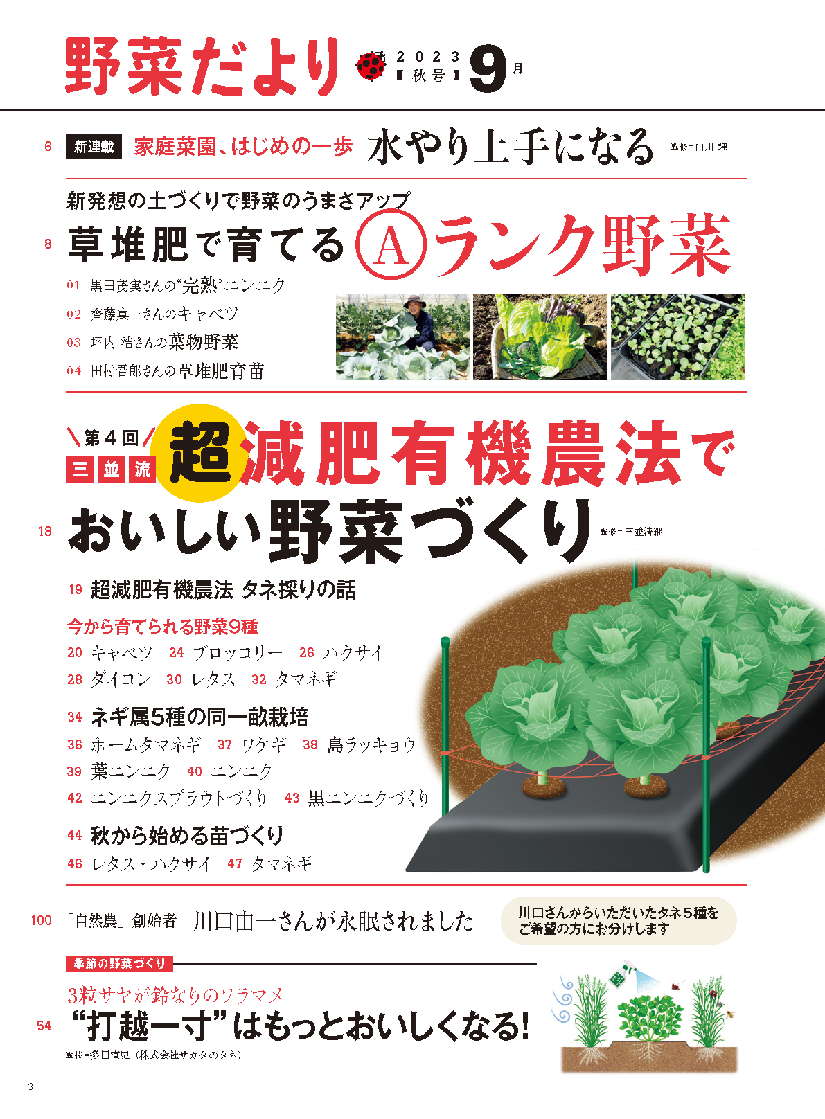 【電子版】野菜だより2023年9月秋号(112309)