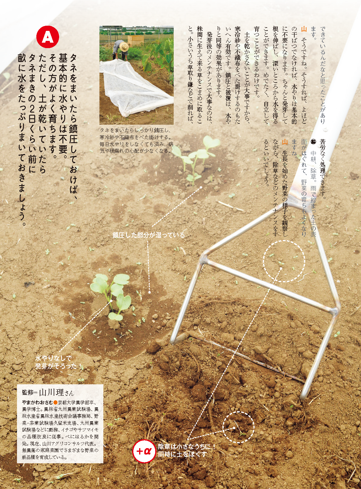 【電子版】野菜だより2023年9月秋号(112309)