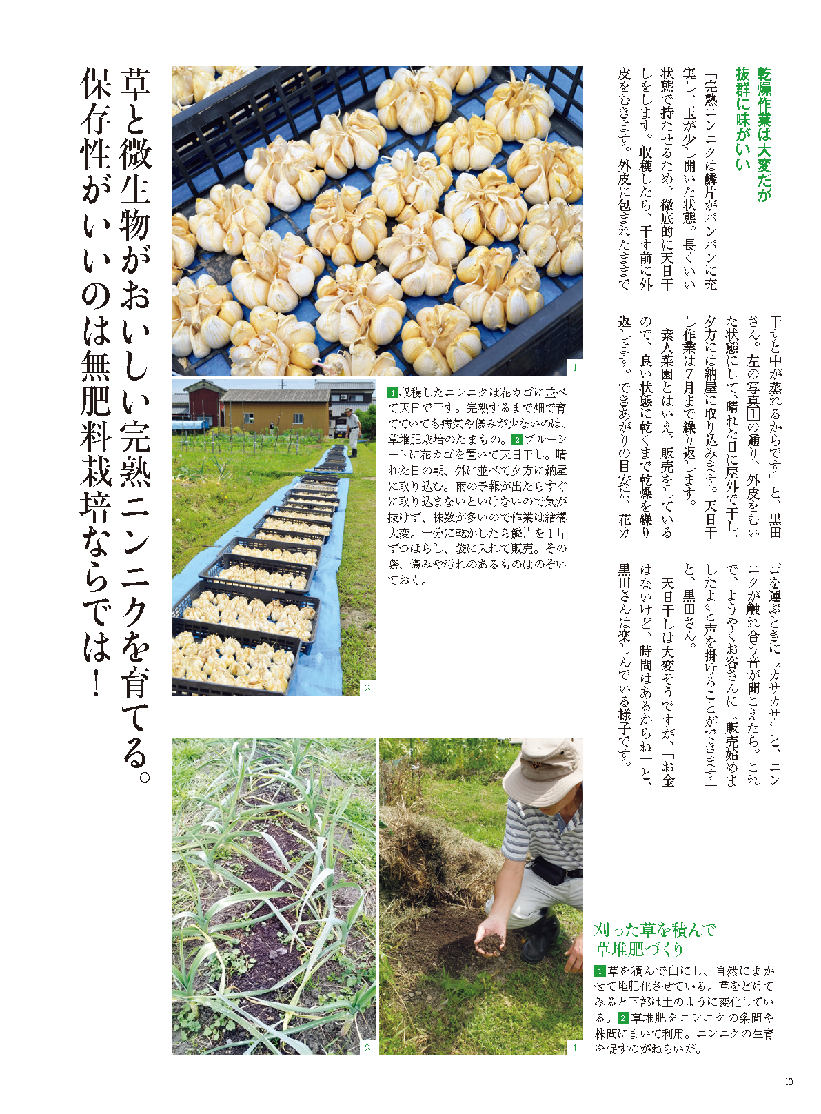 【電子版】野菜だより2023年9月秋号(112309)