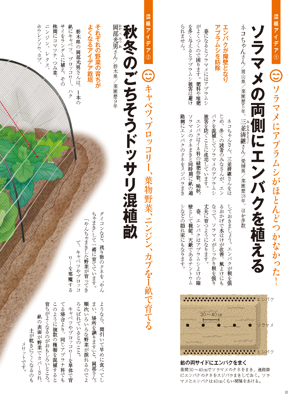 【書籍】野菜だより2024年11月冬号(112411)
