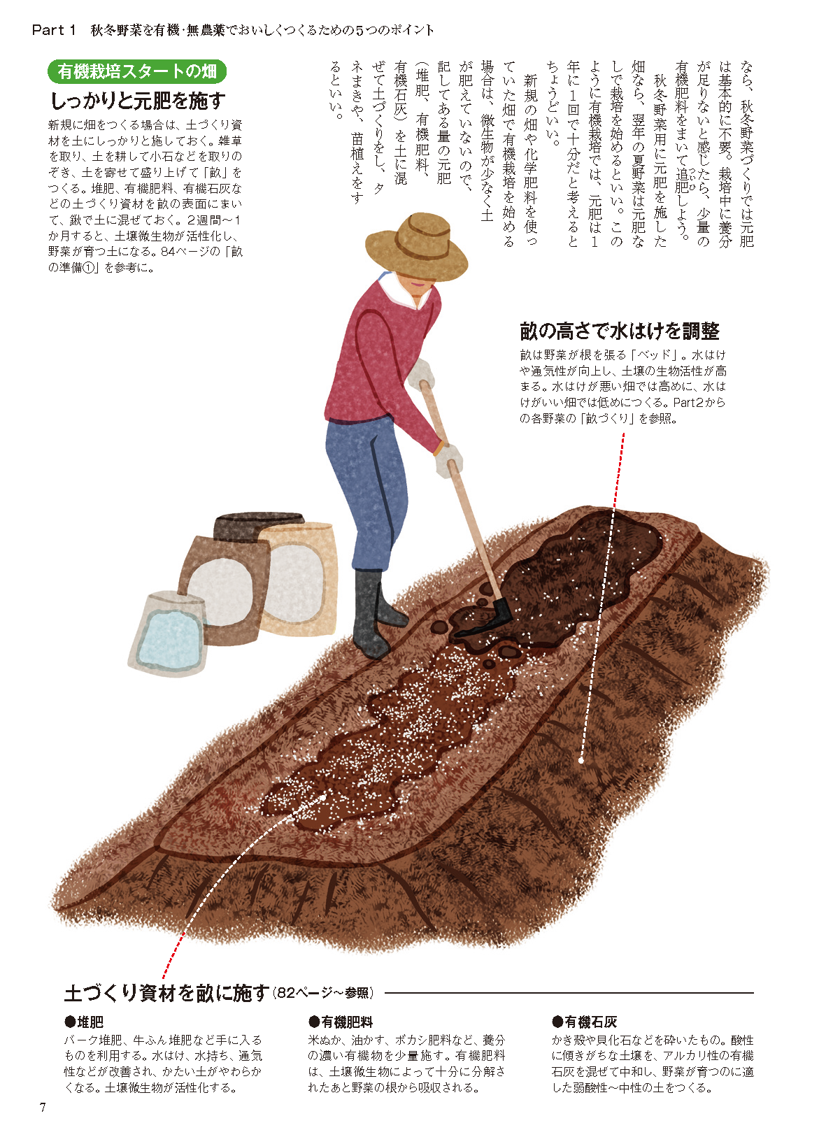 【電子版】秋冬野菜づくり 超基本とコツのコツ 2024年版(122408)