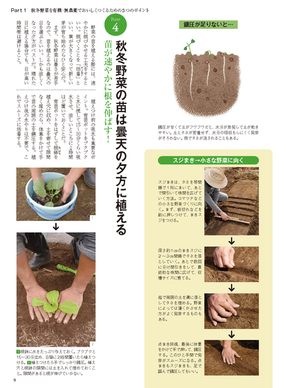 【電子版】秋冬野菜づくり 超基本とコツのコツ 2024年版(122408)