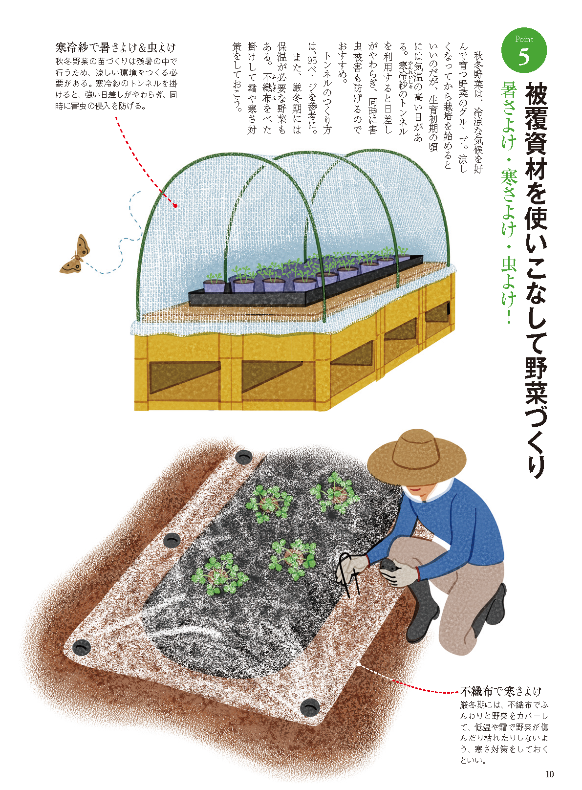 【電子版】秋冬野菜づくり 超基本とコツのコツ 2024年版(122408)