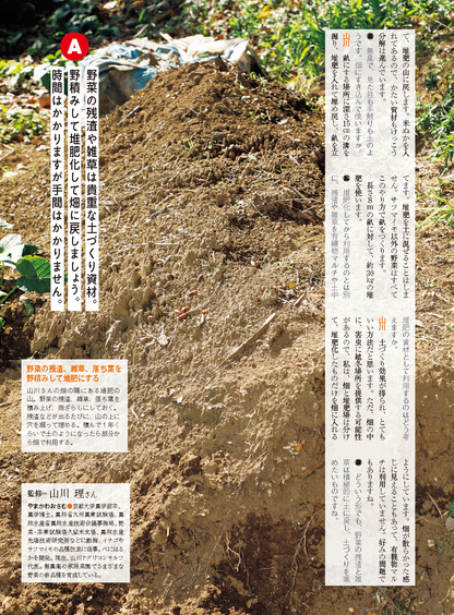 【電子版】野菜だより2024年1月新春号(112401)