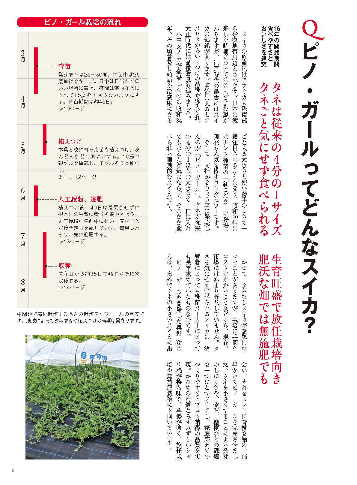 【電子版】野菜だより2024年1月新春号(112401)