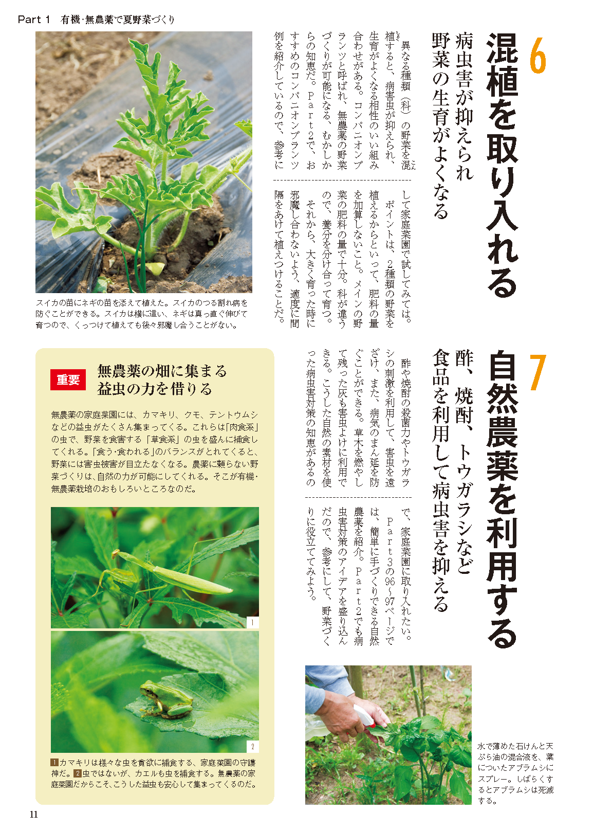 【電子版】夏野菜づくり 超基本とコツのコツ 2024年版（野菜だより2024年4月号増刊）(122404)