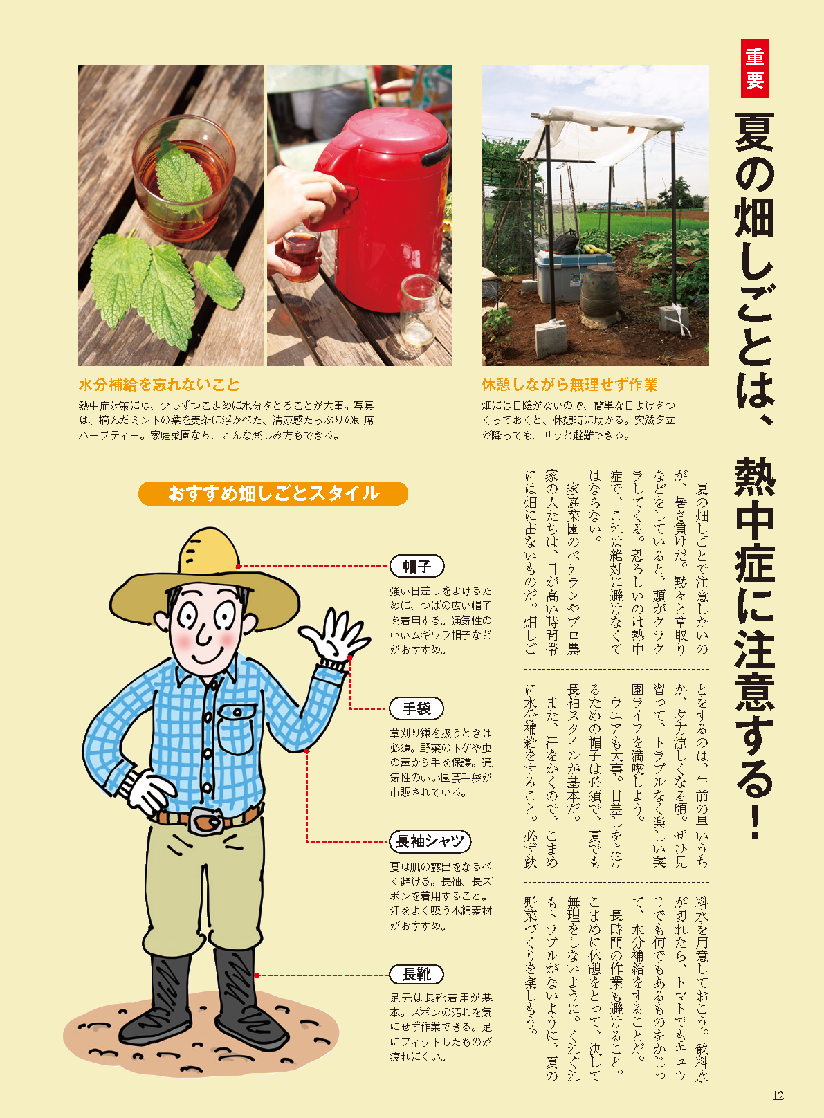 【電子版】夏野菜づくり 超基本とコツのコツ 2024年版（野菜だより2024年4月号増刊）(122404)