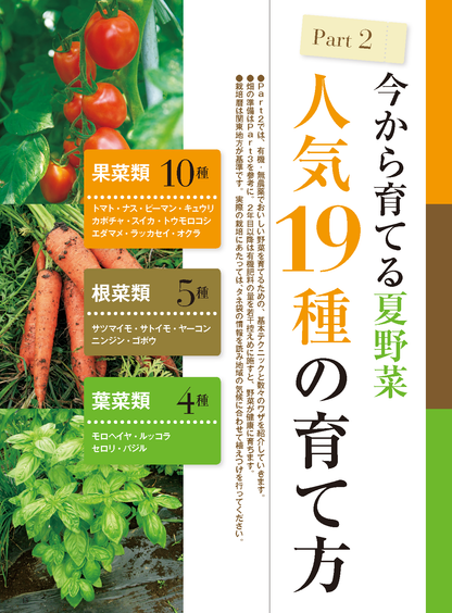【電子版】夏野菜づくり 超基本とコツのコツ 2024年版（野菜だより2024年4月号増刊）(122404)