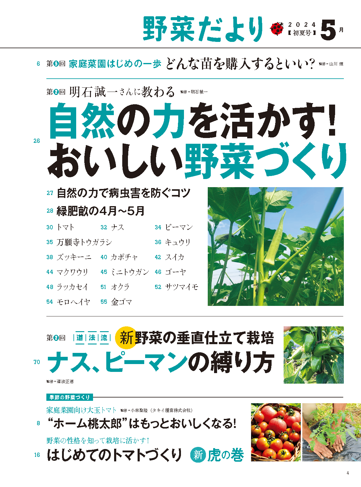 【書籍】野菜だより2024年5月初夏号(112405)