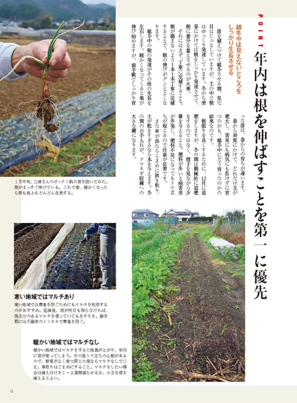 【書籍】野菜だより2024年9月秋号(112409)