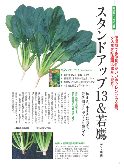 【書籍】野菜だより2025年11月冬号(112511)