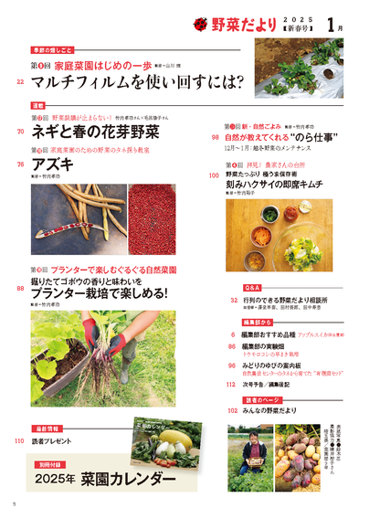 【書籍】野菜だより2025年1月新春号(112501)