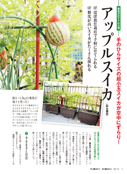 【書籍】野菜だより2025年1月新春号(112501)