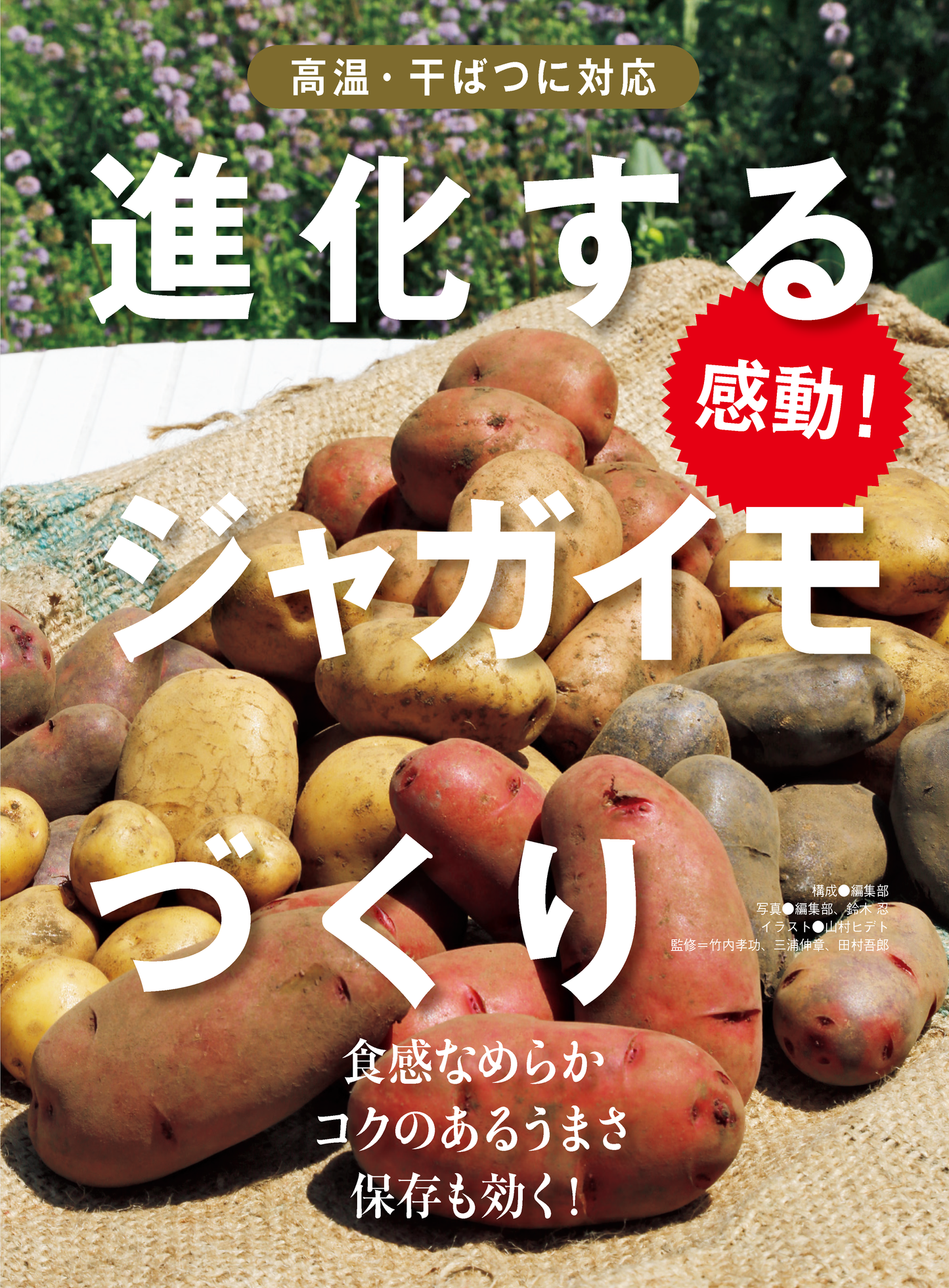 【書籍】野菜だより2025年1月新春号(112501)