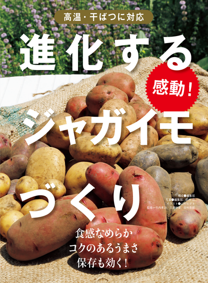 【書籍】野菜だより2025年1月新春号(112501)
