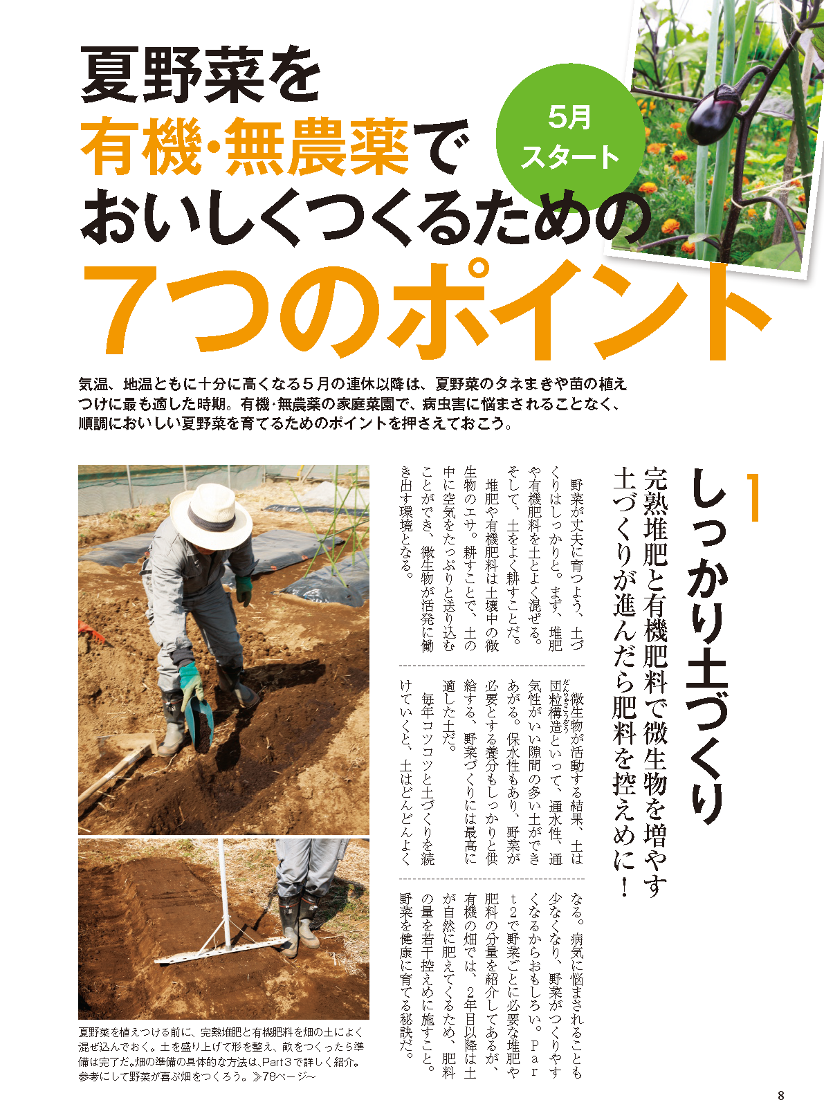 【電子版】夏野菜づくり 超基本とコツのコツ 2025年版（野菜だより2025年4月号増刊）(122504)