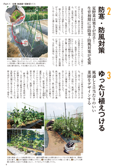 【電子版】夏野菜づくり 超基本とコツのコツ 2025年版（野菜だより2025年4月号増刊）(122504)